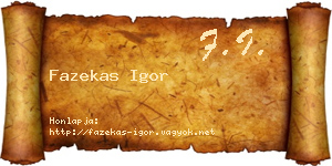 Fazekas Igor névjegykártya